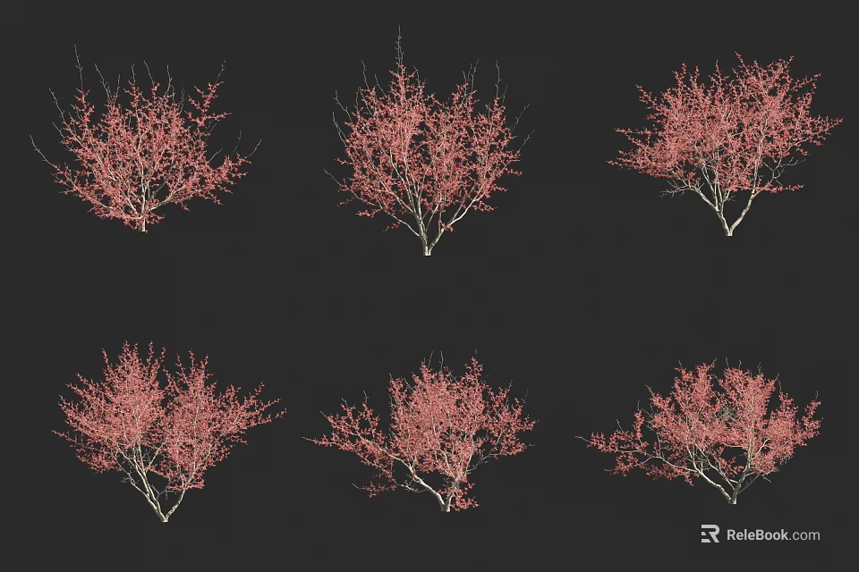 Red Flowering Shrubs Multiple Plants With Delicate Branches For Garden Design 3d model 