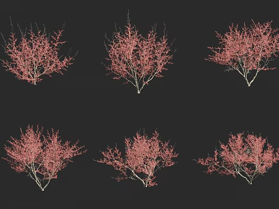 Red Flowering Shrubs Multiple Plants With Delicate Branches For Garden Design 3d model