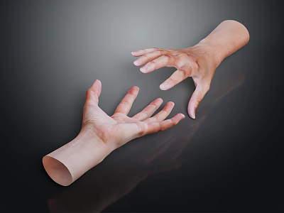 Human Hand Organ Displaying Natural Hair On Skin Surface In Closeup View 3d model