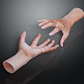 Human Hand Organ Displaying Natural Hair On Skin Surface In Closeup View
