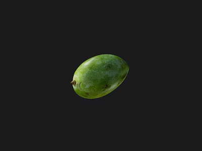 Modern green mango fruit green mango 3d model Modern green mango fruit green mango 3d model