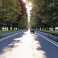 Scenic Municipal Road With Lush Trees Purple Flowers Driving Car And Sunlight Shadows