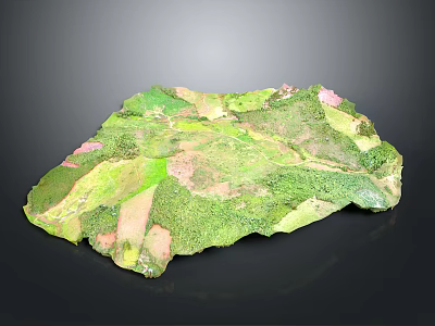 Detailed Terrain Model With Green Vegetation And Pink Topographic Areas 3d model