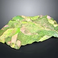 Detailed Terrain Model With Green Vegetation And Pink Topographic Areas