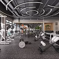 AO515 Modern Fitness Gym Reception Area With Pendant Lights Green Plants And Workout Equipment