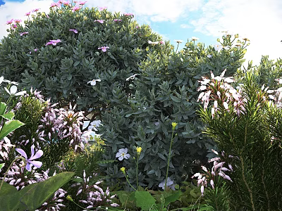 Lush Green Shrub With Pink Flowers Under Blue Sky Surrounded by Other Plants 3d model