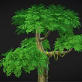 Cartoon Scene Featuring Lush Green Tree With Mossy Trunk And Small Plants