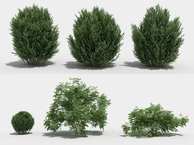 Modern shrubs 3d model Modern shrubs 3d model