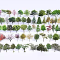 Diverse Arbor Collection Featuring Various Tree Species With Colorful Foliage and Different Growth Forms