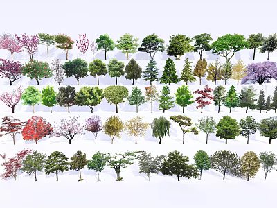 Diverse Arbor Collection Featuring Various Tree Species With Colorful Foliage and Different Growth Forms 3d model