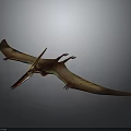 Flying Pterosaur Model With Spread Wings And Detailed Body Structure