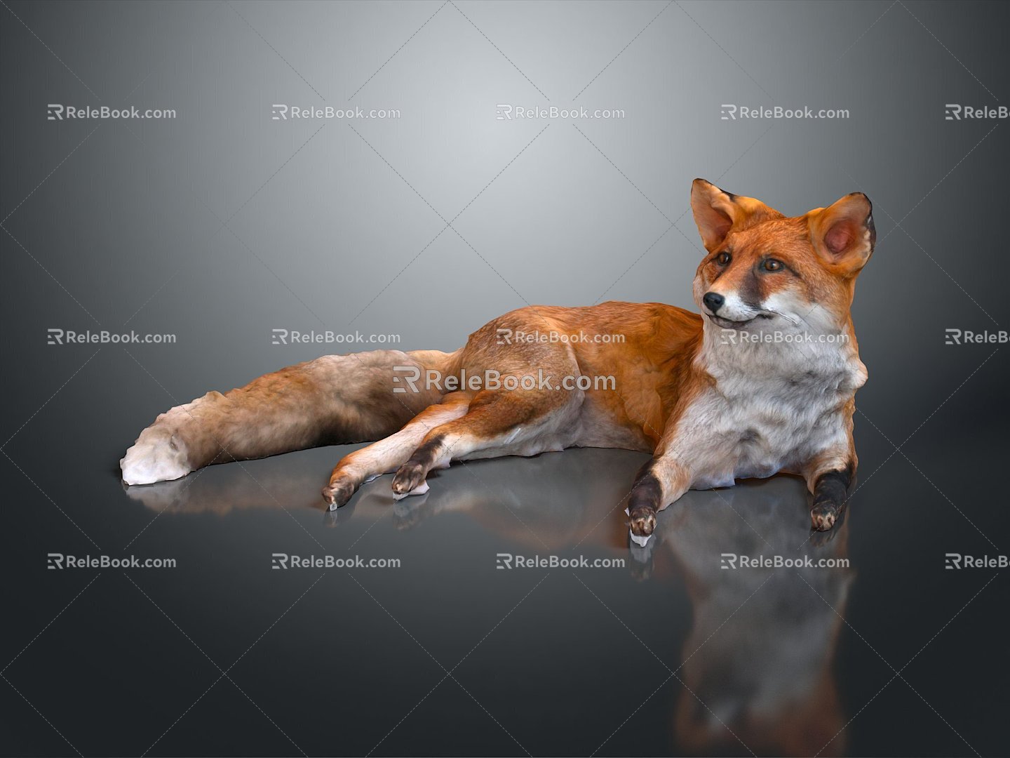 Fox Cartoon Fox Small Fox Cartoon Characters Cartoon Animals Cartoon Small Animals Game Characters 3d model