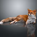Red Fox Game and Movie Character Lying on Black Surface with Reflection 3d model
