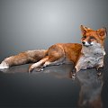 Fox Cartoon Fox Small Fox Cartoon Characters Cartoon Animals Cartoon Small Animals Game Characters 3d model