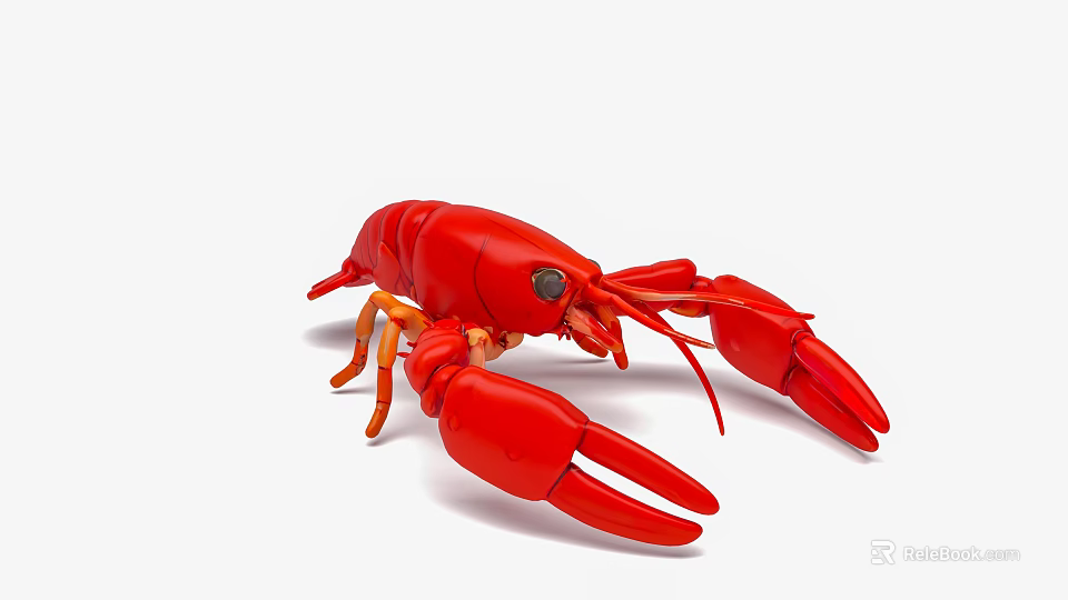 Red Lobster With Large Claws Vibrant Red Color Detailed Aquatic Creature on White Background 3d model 