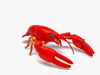 Red Lobster With Large Claws Vibrant Red Color Detailed Aquatic Creature on White Background 3d model