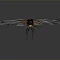 Black Dragonfly With Orange Spots And Transparent Wings On Gray Background