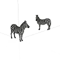 Two Zebras With Black And White Stripes Standing On White Background