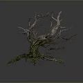 Withered Tree With Dry Trunk Branches And Green Mossy Roots On Dark Background