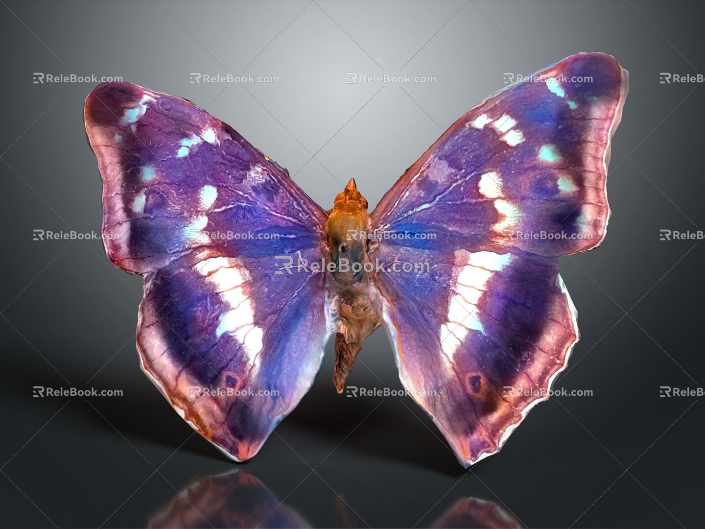 Modern Butterfly Colored Butterfly Tabby Butterfly Leaf Butterfly 3d model