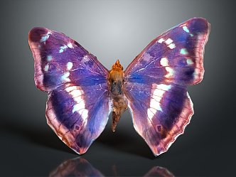 Modern Butterfly Colored Butterfly Tabby Butterfly Leaf Butterfly 3d model