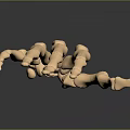 3D Rendered Human Hand Bones With Detailed Metacarpals And Phalanges Structure On Dark Gradient Background