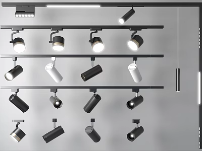 Modern Track Mounted Downlights And Spotlights In Black And White For Home Lighting 3d model