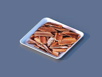 White Square Plate Filled With Dried Cinnamon Slices On Gray Background 3d model