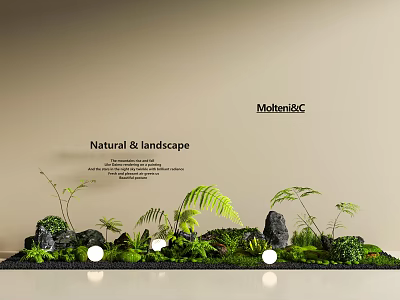 Natural Garden Landscape With Ferns Rocks Green Plants And Small Round Lights 3d model