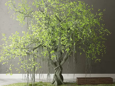 Outdoor Wooden Storage Locker In Garden With Green Tree And Bench 3d model