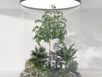 Plant Landscape Small Landscape Plant Green Plant Tree Landscape Tree Plant Pile Green Plant Pile Tree 3d model