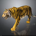 Realistic Tiger Model With Yellow Black Stripes And Walking Pose