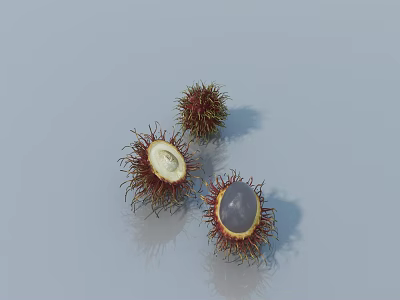 Fresh Rambutan Fruits With One Cut Open Showing White Flesh And Seed On Light Background 3d model