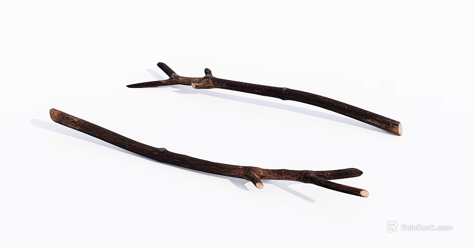 Natural Dry Wood Branches With Raw Texture And Branched Twig Ends 3d model 