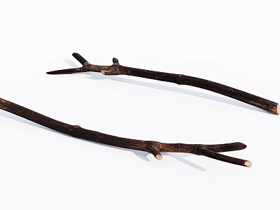 Natural Dry Wood Branches With Raw Texture And Branched Twig Ends 3d model