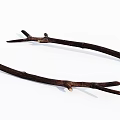 Natural Dry Wood Branches With Raw Texture And Branched Twig Ends
