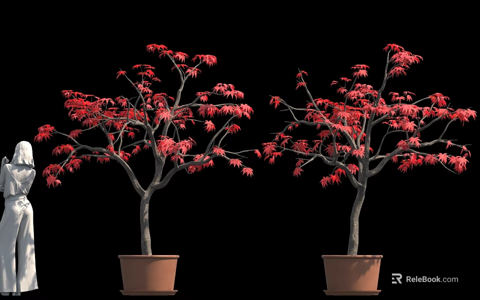 Vibrant Red Maple Trees In Two Potted Plants Against Black Background 3d model 