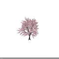 Beautiful Tree with Pink Blossoms and Little Girl Silhouette in Natural Scene