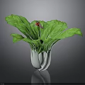 Red Ladybug Crawling On Green Leafy Cabbage With Fresh Vibrant Leaves