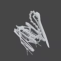 Flying Animal Skeleton of Bird with Long Beak on Green Geometric Background