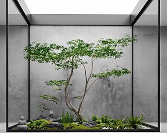 Modern landscape sketch courtyard sketch plant landscaping rockery stone indoor landscape plant pile ferns 3d model