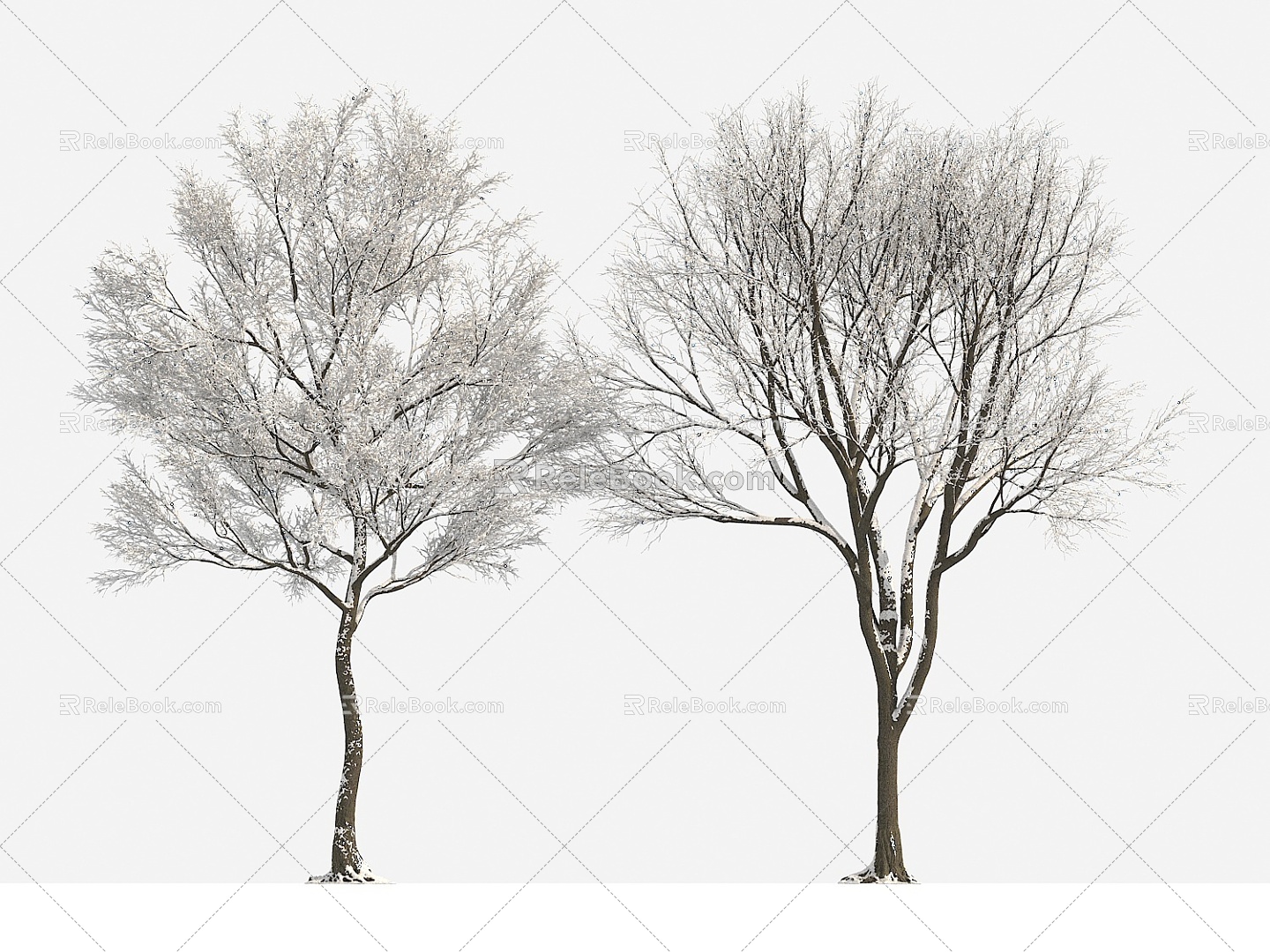 plant tree big tree winter tree winter plant snow tree 3d model