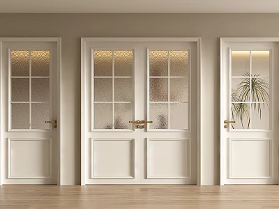 White Double Doors With Glass Panels And Gold Handles Between Single Doors In Interior 3d model