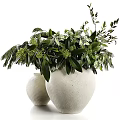Two Decorative White Vases With Lush Green Plants And Fresh Flowers