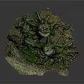 Natural Tree Stump Scene With Exposed Roots And Green Moss Textured Base