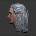 Realistic 3D Model of Male Head With Silver Gray Long Hair and Facial Features