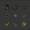 Diverse Collection of Various Plants Including Palm Trees Ferns and Leafy Greens on White Background