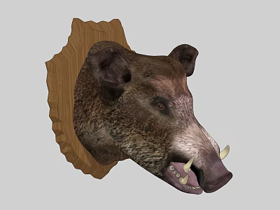 Lifelike Wild Boar Head Animal Wall Decor With Wooden Background Design 3d model