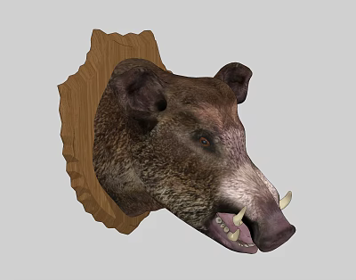 Lifelike Wild Boar Head Animal Wall Decor With Wooden Background Design 3d model
