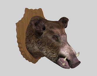 Boar Head Wall Decoration 3d model